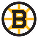 NHLBite Boston Bruins Team